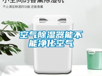 行業(yè)新聞空氣除濕器能不能凈化空氣