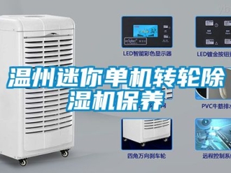常見問題溫州迷你單機轉輪除濕機保養