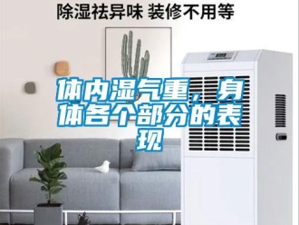 知識(shí)百科體內(nèi)濕氣重，身體各個(gè)部分的表現(xiàn)