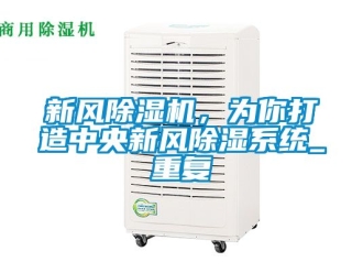 常見(jiàn)問(wèn)題新風(fēng)除濕機(jī)，為你打造中央新風(fēng)除濕系統(tǒng)_重復(fù)