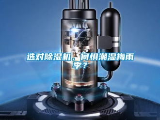 知識(shí)百科選對(duì)除濕機(jī)，何懼潮濕梅雨季？