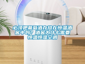 常見問題必須把葡萄酒存放在恒溫酒窖中嗎？酒窖為什么需要恒溫恒濕空調(diào)