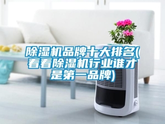企業新聞除濕機品牌十大排名(看看除濕機行業誰才是第一品牌)
