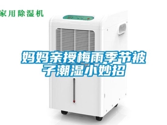 行業新聞媽媽親授梅雨季節被子潮濕小妙招