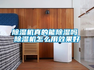 行業新聞除濕機真的能除濕嗎 除濕機怎么用效果好