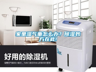 常見問題家里濕氣重怎么辦？除濕妙方在此!