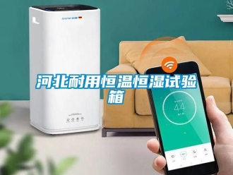 知識(shí)百科河北耐用恒溫恒濕試驗(yàn)箱