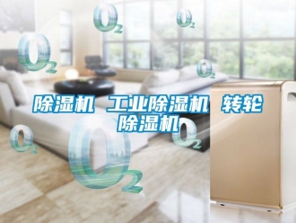 常見問題除濕機 工業除濕機 轉輪除濕機