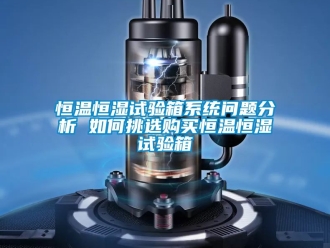 知識百科恒溫恒濕試驗(yàn)箱系統(tǒng)問題分析 如何挑選購買恒溫恒濕試驗(yàn)箱