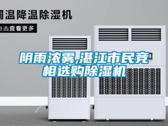 知識百科陰雨濃霧,湛江市民競相選購除濕機