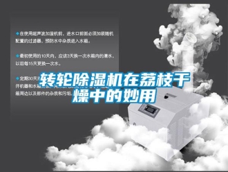 知識百科轉輪除濕機在荔枝干燥中的妙用