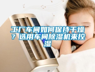 常見問題工廠車間如何保持干燥？選用車間除濕機來控濕