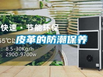 行業新聞皮革的防潮保養
