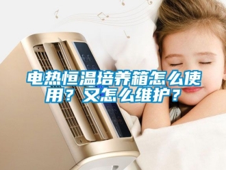 知識百科電熱恒溫培養箱怎么使用？又怎么維護？