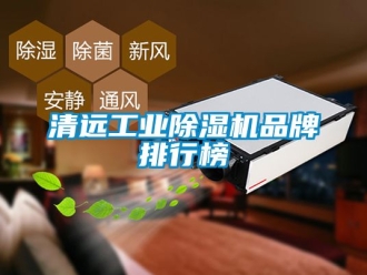 常見(jiàn)問(wèn)題清遠(yuǎn)工業(yè)除濕機(jī)品牌排行榜