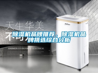 企業新聞除濕機品牌推薦，除濕機品牌挑選綜合分析