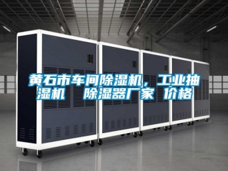 企業新聞黃石市車間除濕機，工業抽濕機  除濕器廠家 價格
