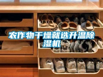 行業新聞農作物干燥就選升溫除濕機