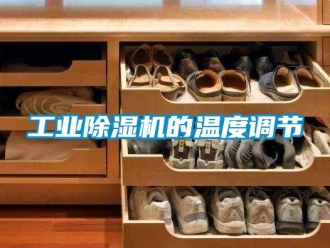 企業(yè)新聞工業(yè)除濕機的溫度調(diào)節(jié)