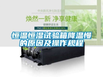知識百科恒溫恒濕試驗(yàn)箱降溫慢的原因及操作規(guī)程