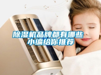 企業新聞除濕機品牌都有哪些 小編給你推薦