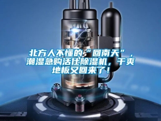 常見問題北方人不懂的“回南天”，潮濕急購活仕除濕機，干爽地板又回來了！