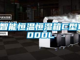 知識百科智能恒溫恒濕箱C型1000L