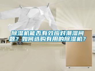行業新聞除濕機能否有效應對潮濕問題？如何選購有用的除濕機？