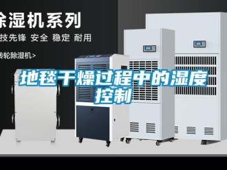 企業(yè)新聞地毯干燥過(guò)程中的濕度控制