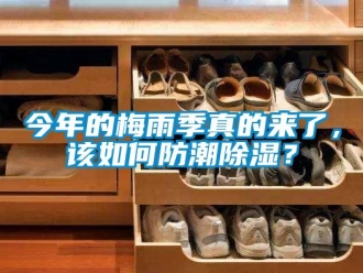 常見問題今年的梅雨季真的來了，該如何防潮除濕？