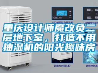 企業(yè)新聞重慶設(shè)計師魔改負(fù)二層地下室，打造不用抽濕機(jī)的陽光趣味房