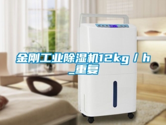 常見問題金剛工業除濕機12kg／h_重復
