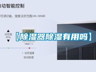 企業新聞【除濕器除濕有用嗎】