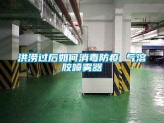 常見問題洪澇過后如何消毒防疫 氣溶膠噴霧器