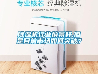 常見問題除濕機(jī)行業(yè)前景好,但是目前市場(chǎng)如何突破？