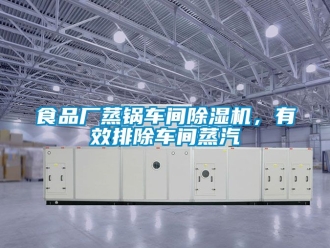 企業(yè)新聞食品廠蒸鍋車間除濕機，有效排除車間蒸汽