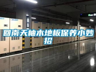行業新聞回南天柚木地板保養小妙招