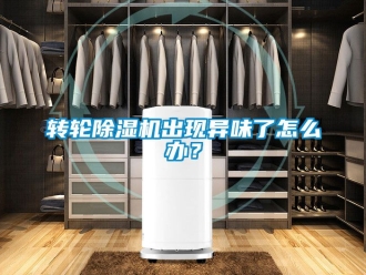 常見問題轉(zhuǎn)輪除濕機出現(xiàn)異味了怎么辦？