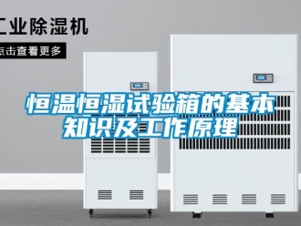知識百科恒溫恒濕試驗(yàn)箱的基本知識及工作原理