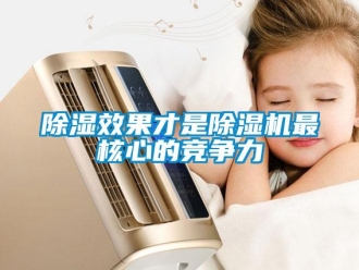 企業(yè)新聞除濕效果才是除濕機最核心的競爭力