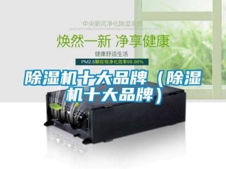 企業(yè)新聞除濕機(jī)十大品牌（除濕機(jī)十大品牌）