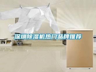 企業新聞深圳除濕機熱門品牌推薦