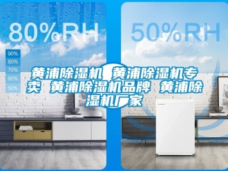 企業新聞黃浦除濕機 黃浦除濕機專賣 黃浦除濕機品牌 黃浦除濕機廠家