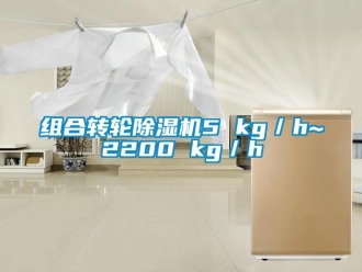 常見問題組合轉(zhuǎn)輪除濕機(jī)5 kg／h~2200 kg／h