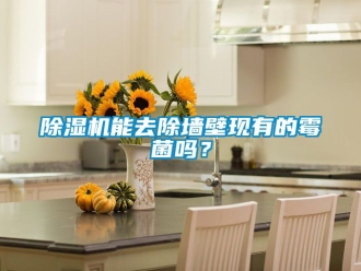行業新聞除濕機能去除墻壁現有的霉菌嗎？