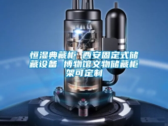 知識(shí)百科恒濕典藏柜 西安固定式儲(chǔ)藏設(shè)備 博物館文物儲(chǔ)藏柜架可定制