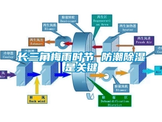 知識百科長三角梅雨時節 防潮除濕是關鍵
