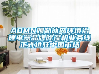 企業新聞AOMN姆勒冰島環境治理電器品牌除濕機業務線正式進駐中國市場
