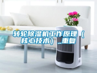 常見問題轉輪除濕機工作原理（核心技術）_重復