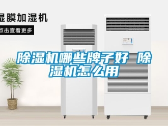 行業新聞除濕機哪些牌子好 除濕機怎么用